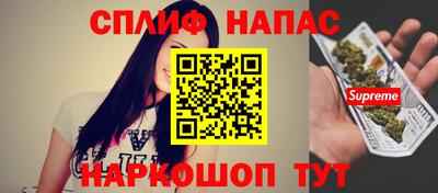 сатива Кингисепп