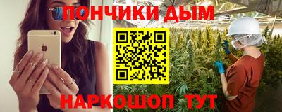сатива Кингисепп