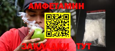 сатива Кингисепп