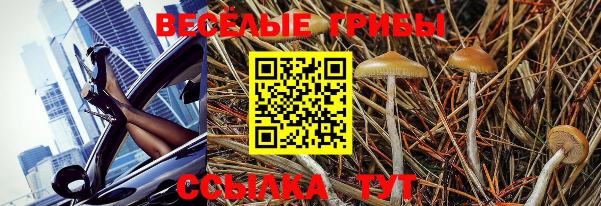 Галлюциногенные грибы GOLDEN TEACHER Ефремов